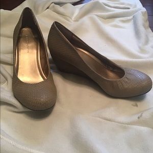 SOLD-BCBGeneration Wedge Pump